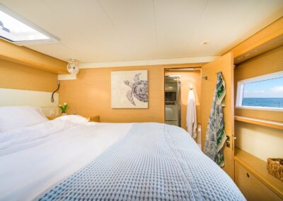 Lagoon 52F guest cabin turtle art sea window – Stay Salty Sailing, private crewed catamaran charter